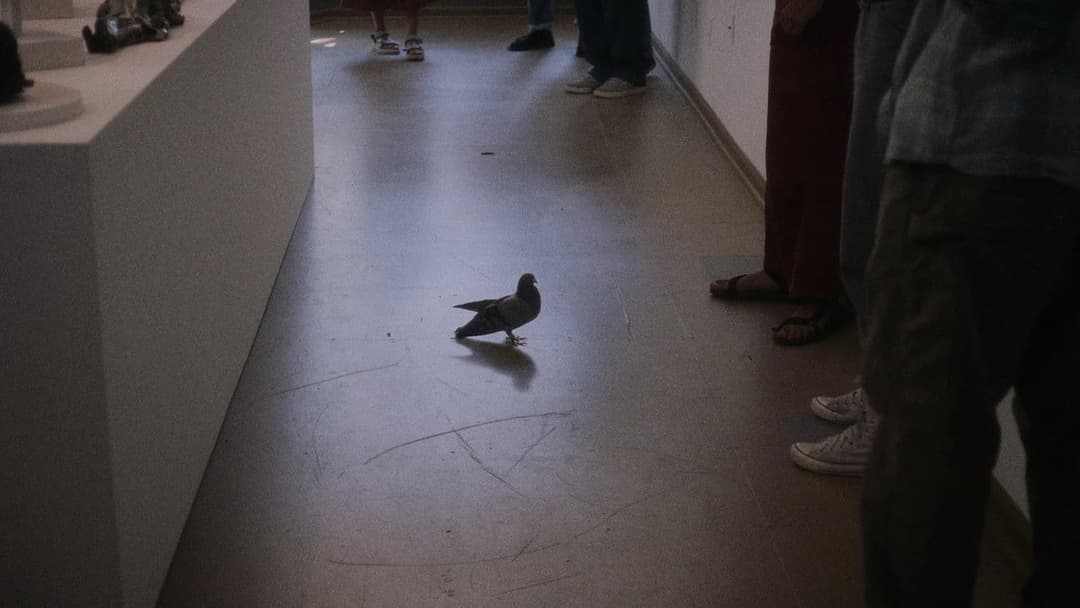 Showing Up backdrop 18