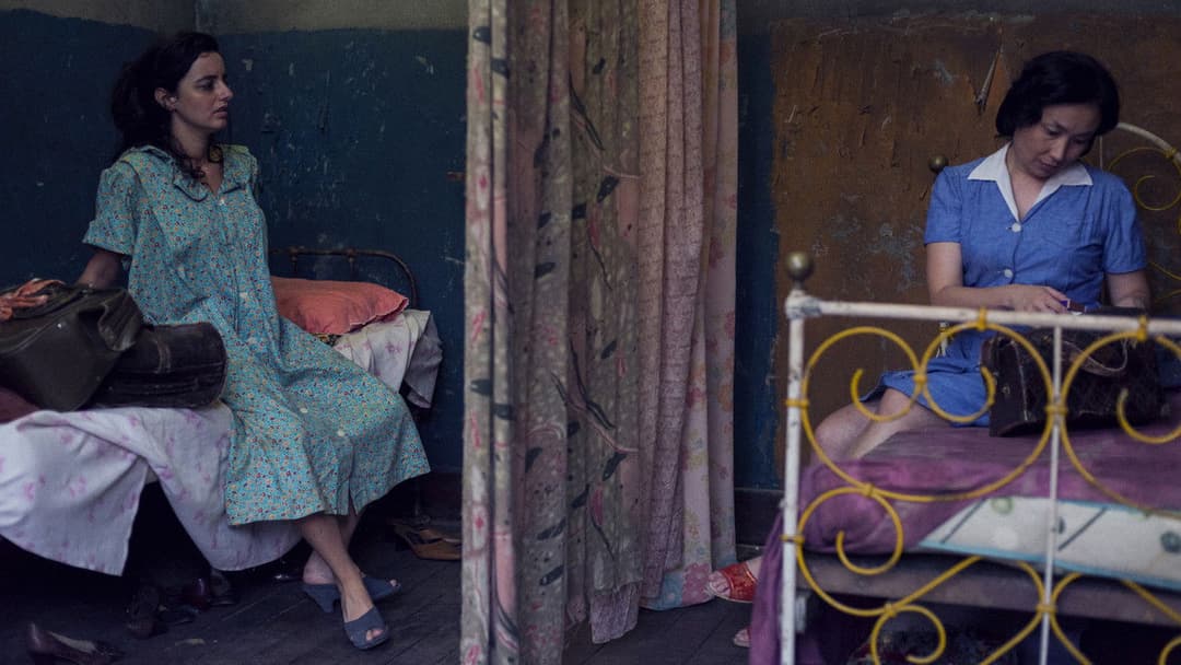 A Vida Invisível backdrop 16