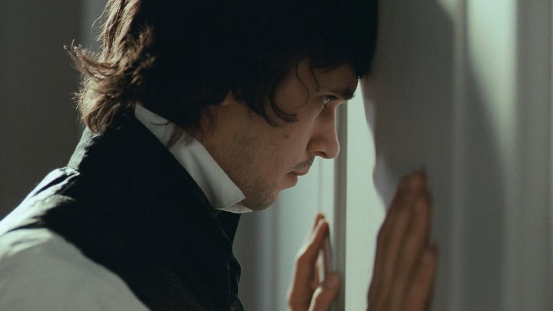 Bright Star backdrop 12