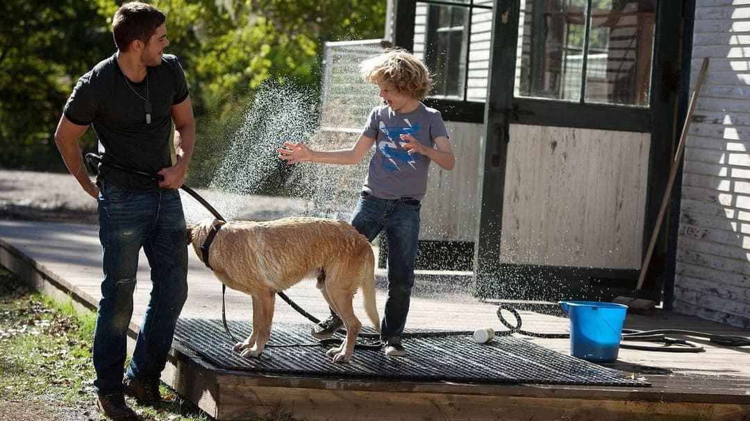 Щасливчик backdrop 20