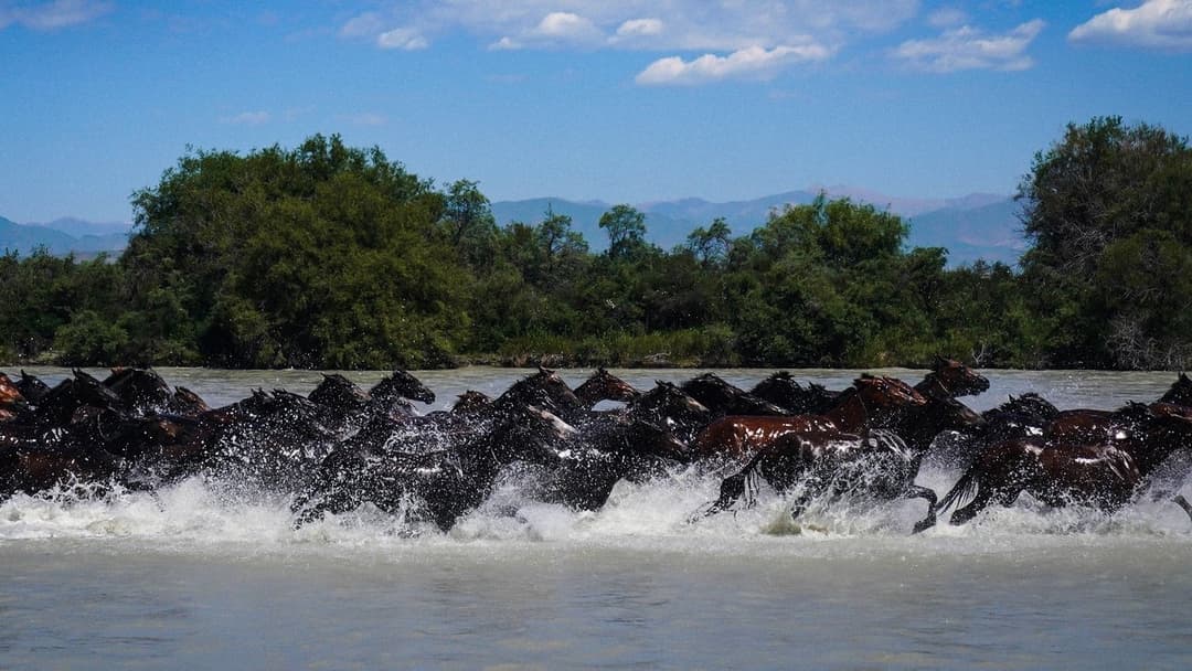 A Legend backdrop 16