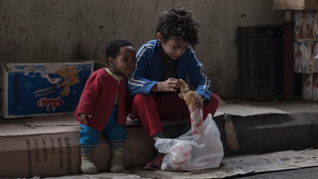 Capernaum - Stadt der Hoffnung backdrop 11
