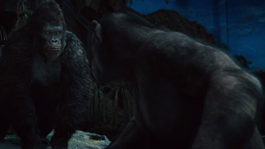 Planet der Affen - Prevolution backdrop 8