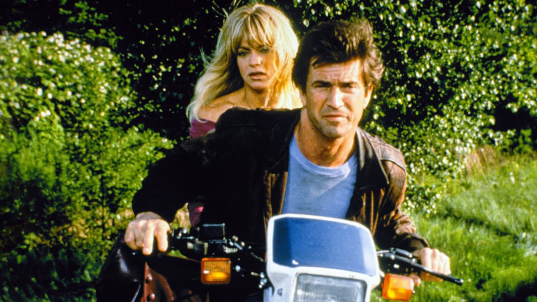 Ein Vogel auf dem Drahtseil backdrop 11