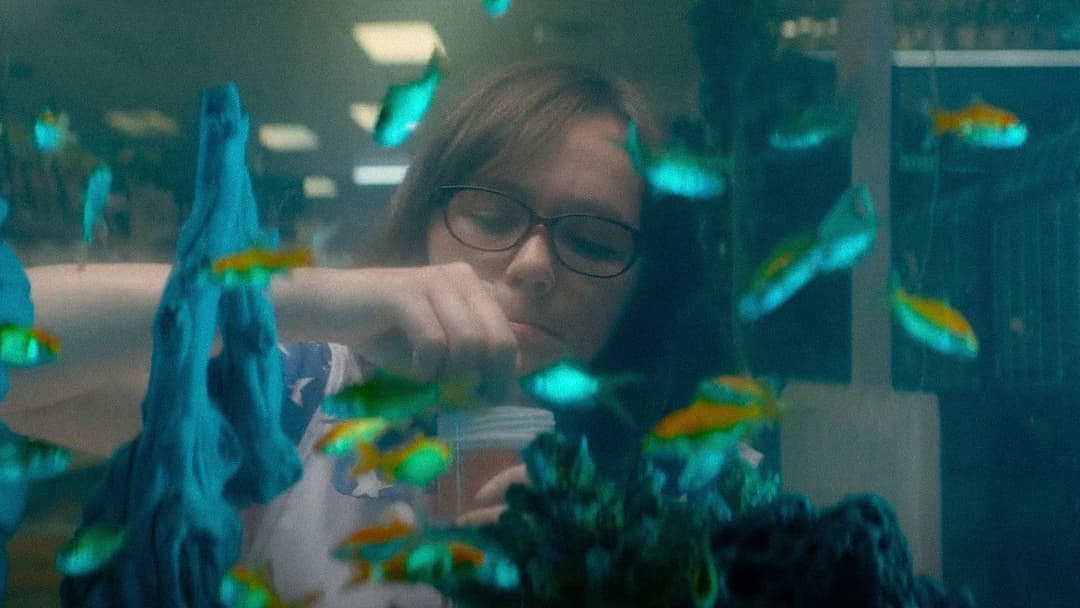 Dinner in America backdrop 2