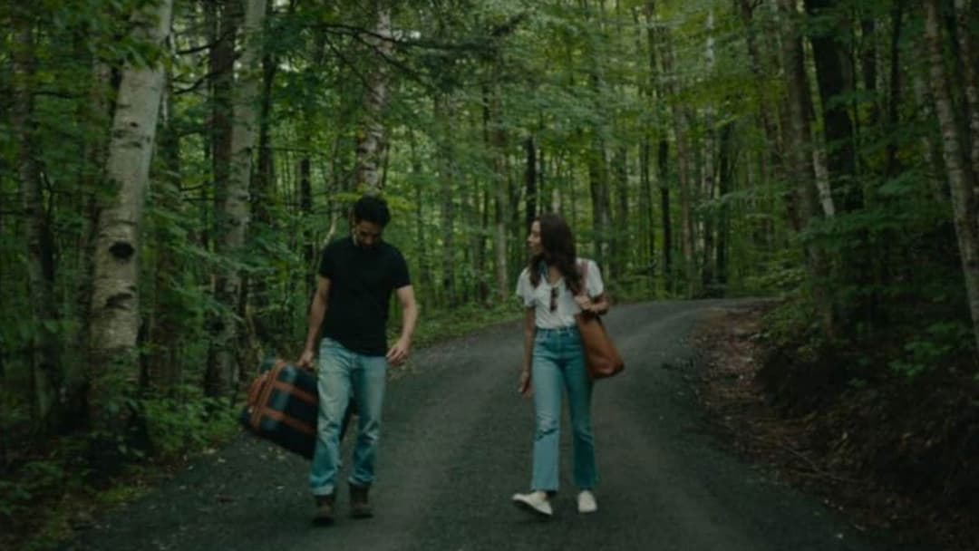 Чорний ведмідь backdrop 13