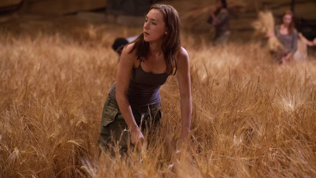 Гостя backdrop 2