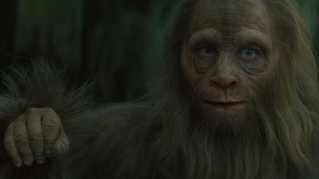 Sasquatch Sunset backdrop 8