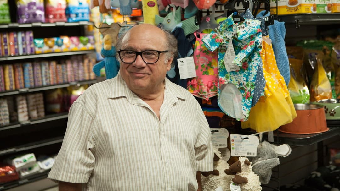 Wiener Dog backdrop 3