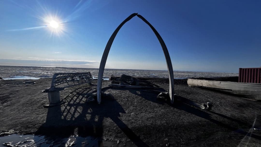 Mankind's Folly backdrop 6