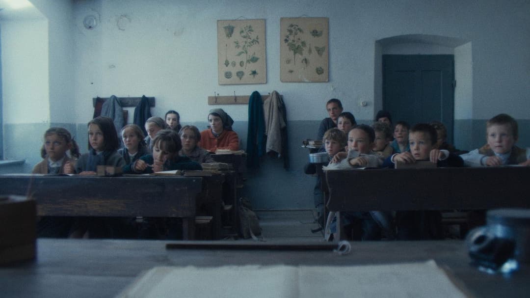 Вермільйо backdrop 13