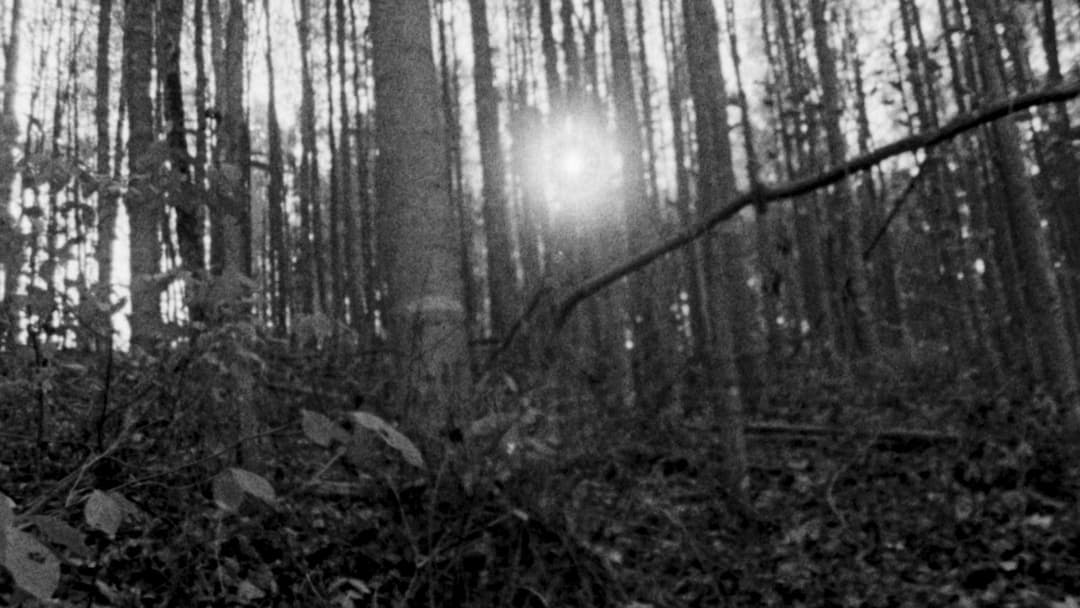 Blair Witch Project backdrop 11