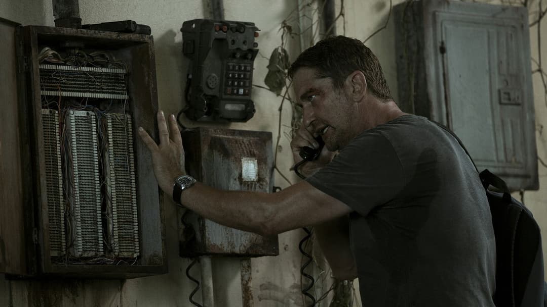 Рейс backdrop 15