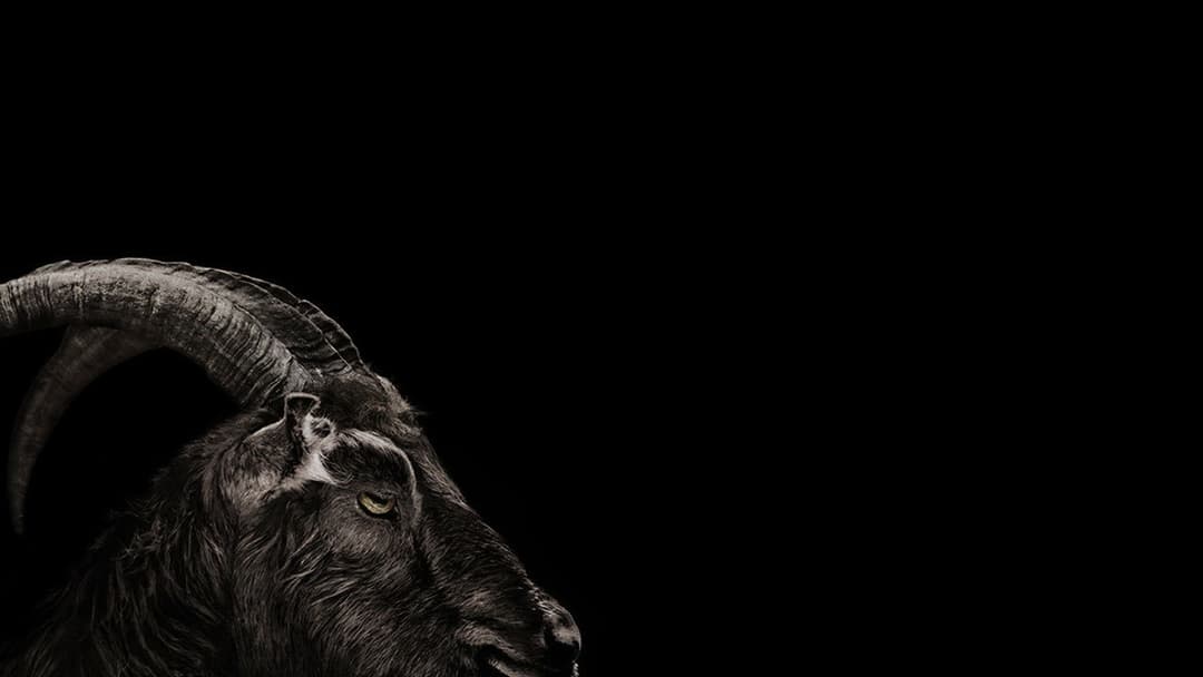 Відьма: Нова англійська казка backdrop 18