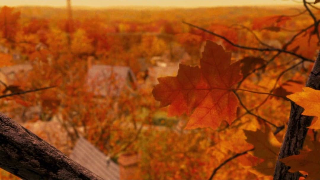 Monster House backdrop 5