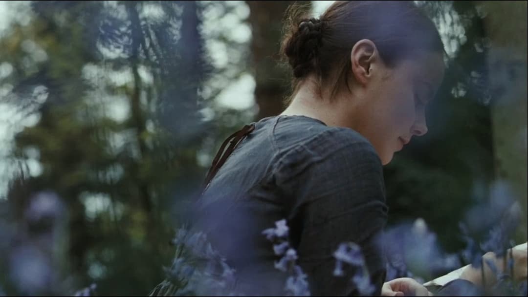 Bright Star backdrop 3