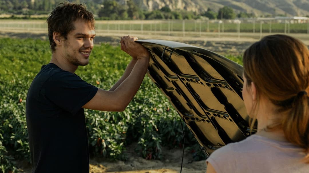 Сфера backdrop 10