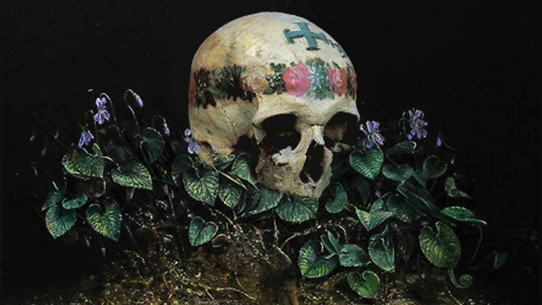 Відьми backdrop 3