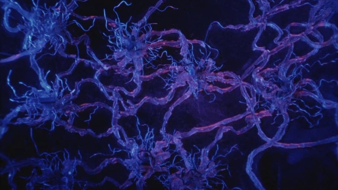 Тецуо: Людина-молот backdrop 8