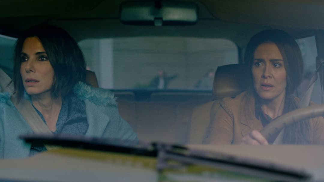 Пташиний короб backdrop 11