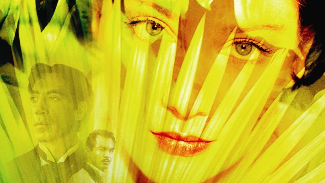 Die Liebe in den Zeiten der Cholera backdrop 2