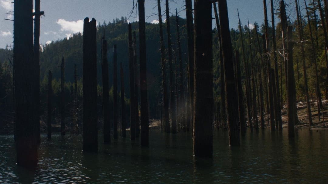 Нічні рухи backdrop 15