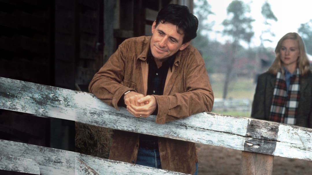 Der Zufalls-Dad backdrop 4