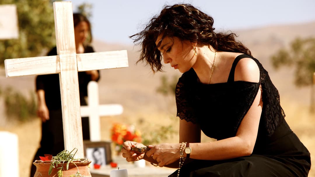 Where Do We Go Now? backdrop 6