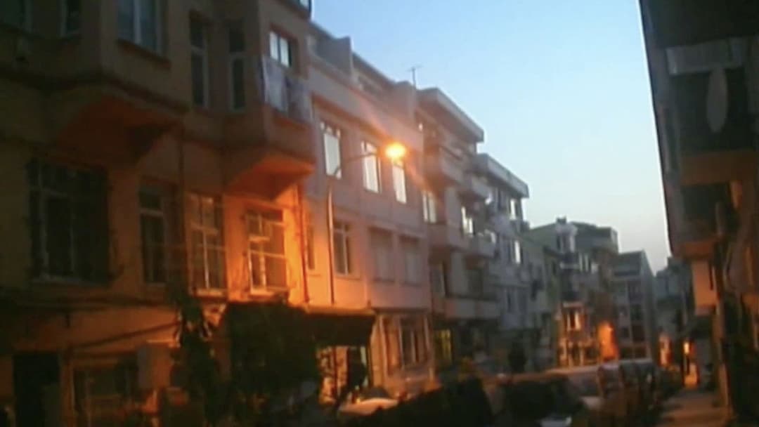 don't let the bedbugs bite