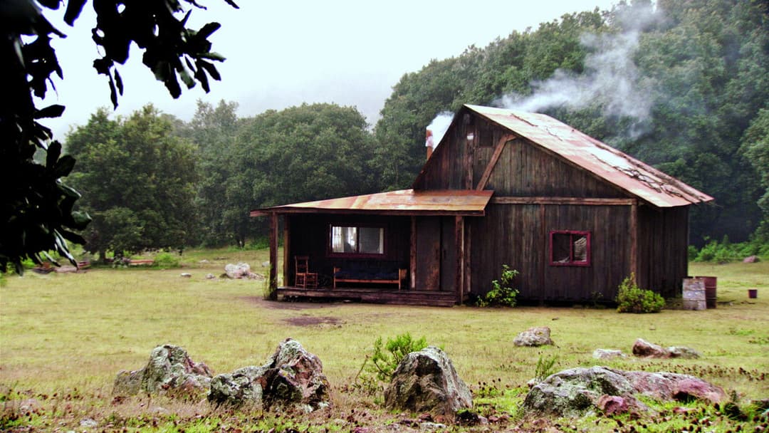 The Untamed backdrop 11