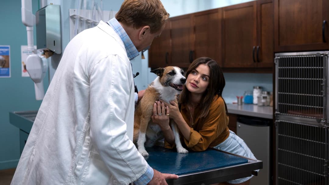 Щеняче кохання backdrop 7