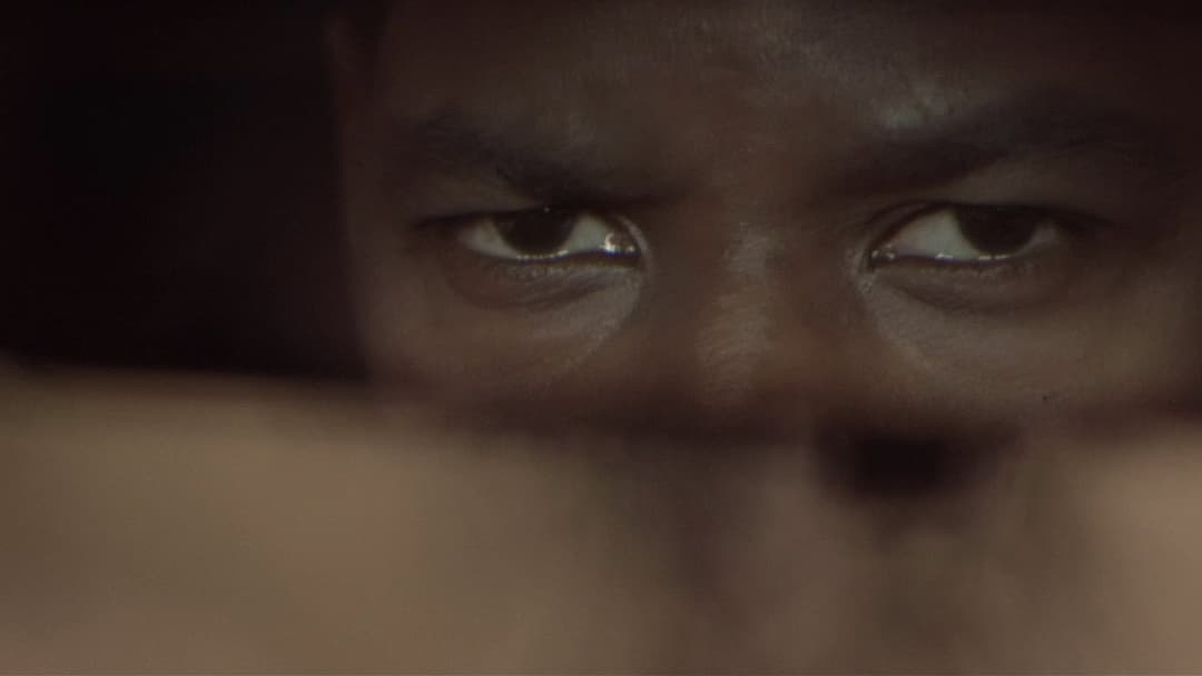 Training Day backdrop 4