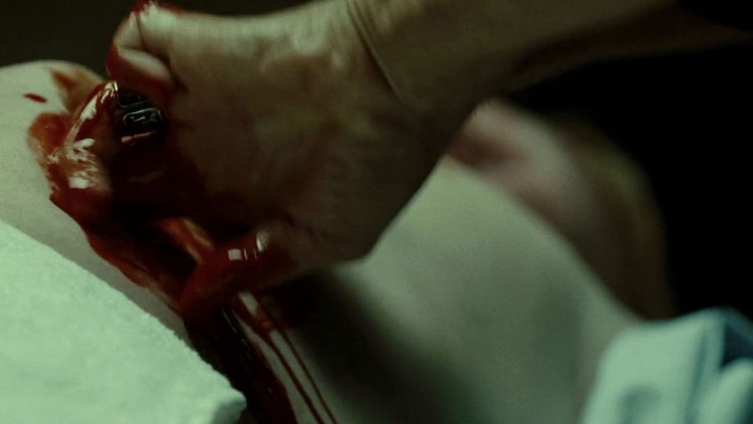 Red Lights backdrop 15