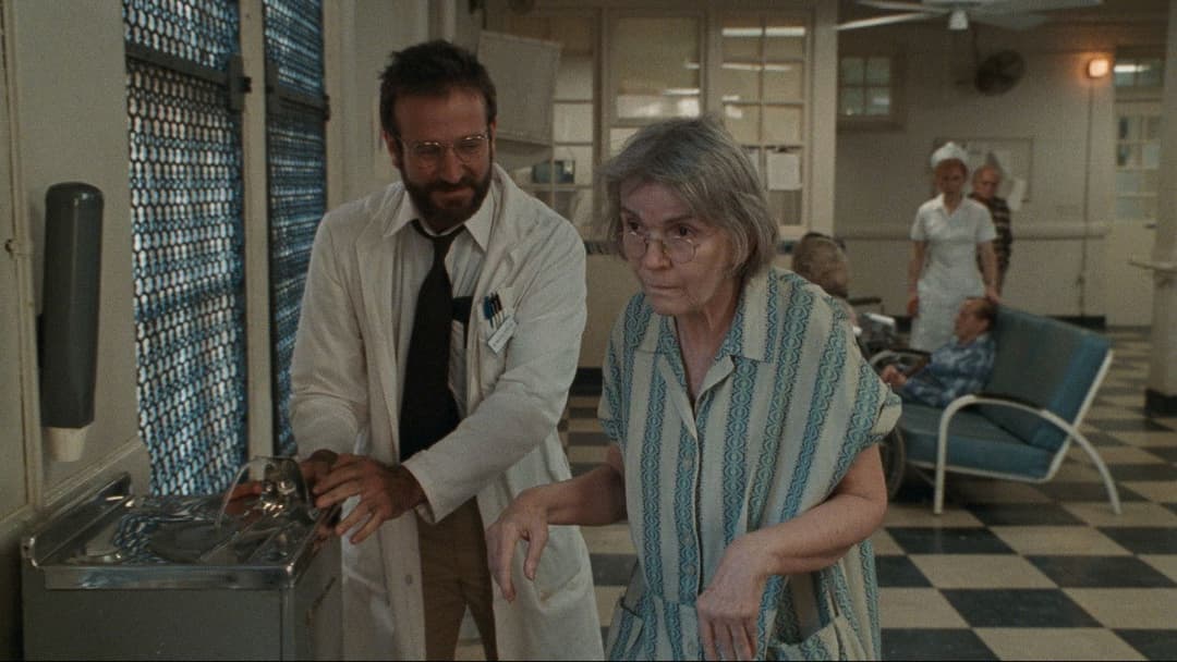 Пробудження backdrop 13