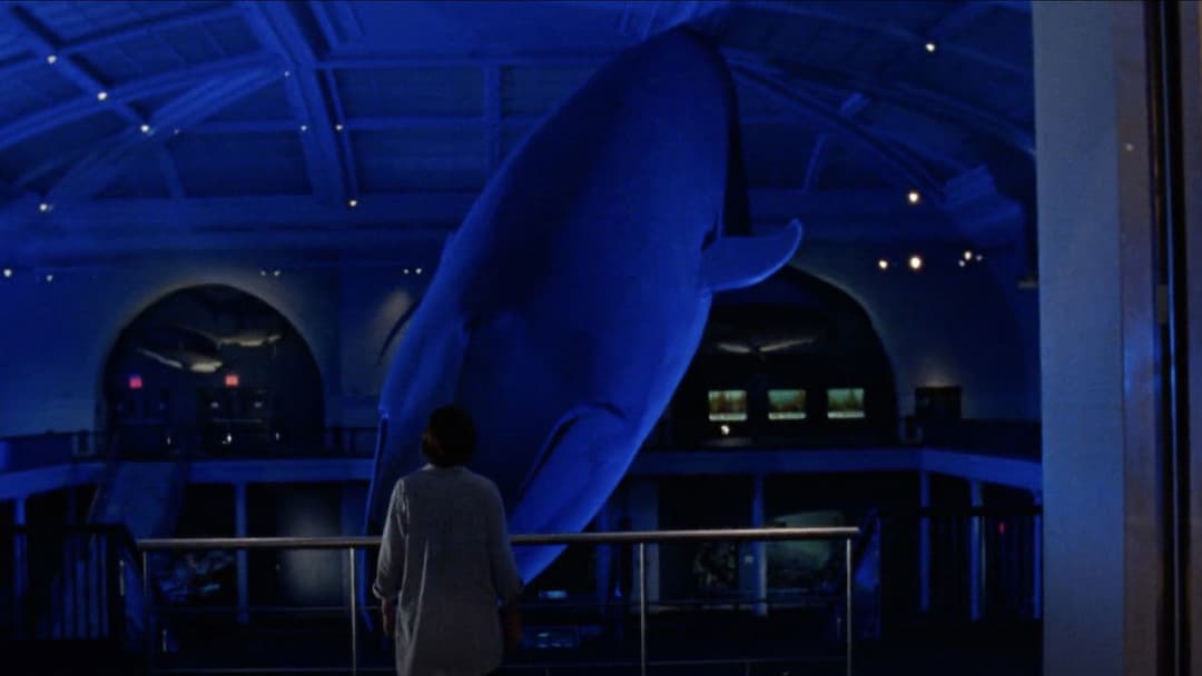 Кальмар і кит backdrop 10