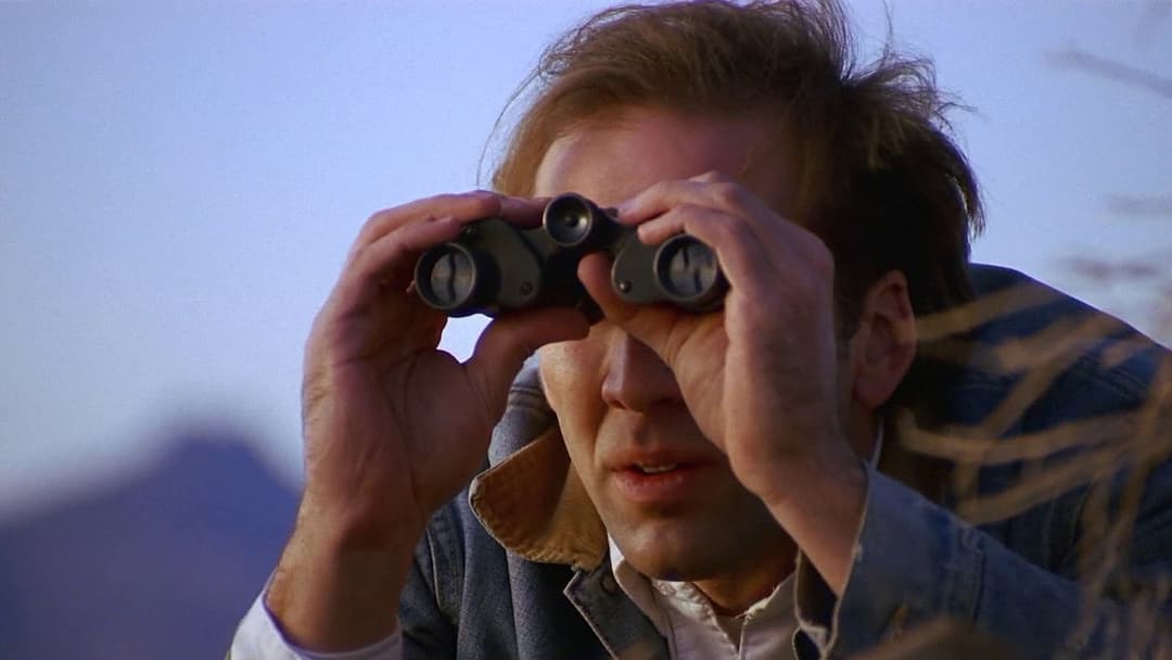 Бар при дорозі backdrop 2