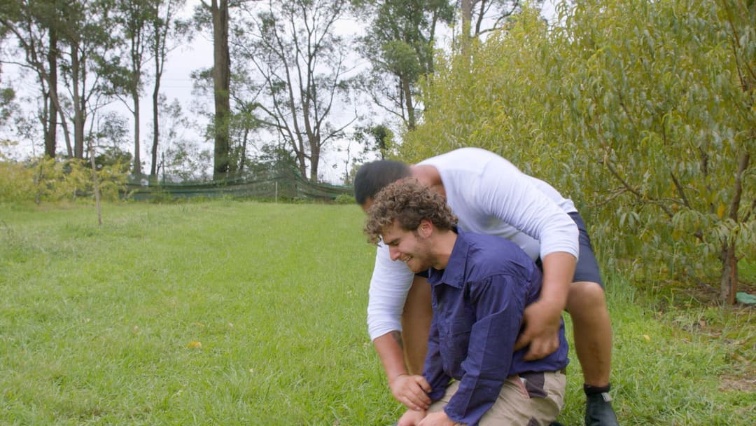 Where the Light Fades backdrop 3