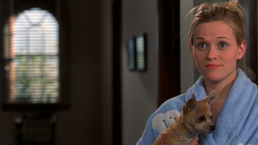 Natürlich blond backdrop 14