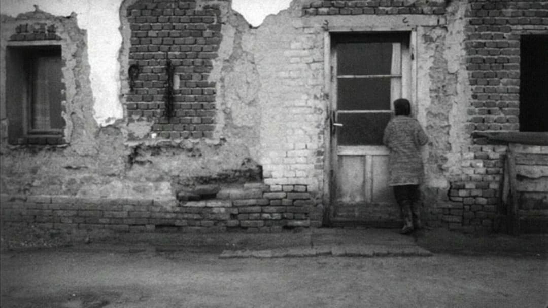 Sátántangó backdrop 19