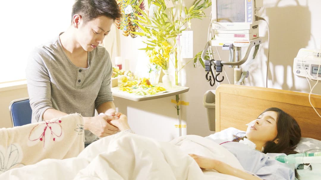 8年越しの花嫁 奇跡の実話 backdrop 4