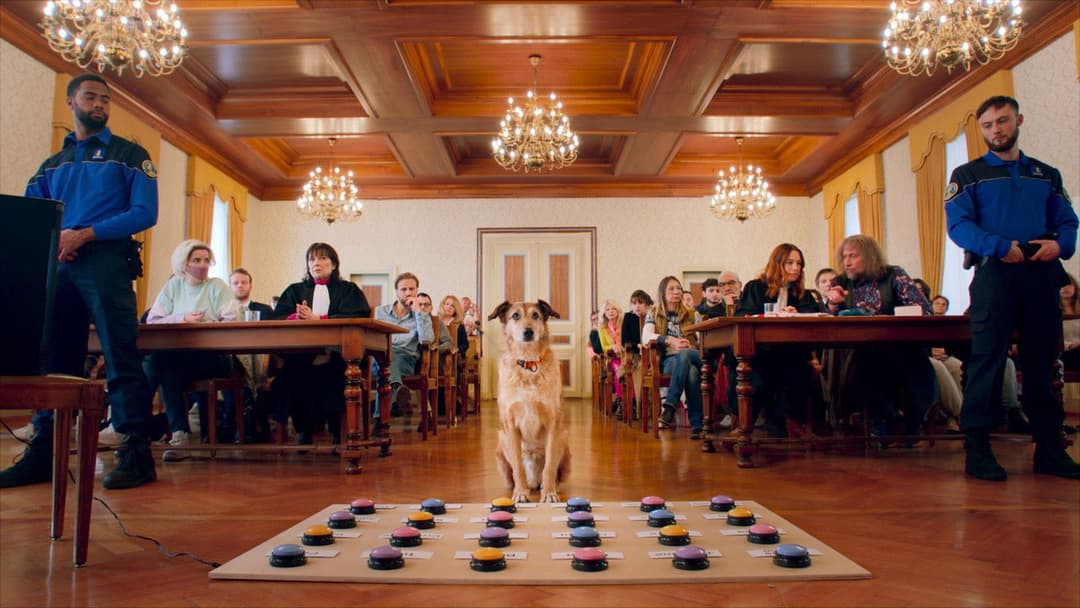 Hundschuldig backdrop 9