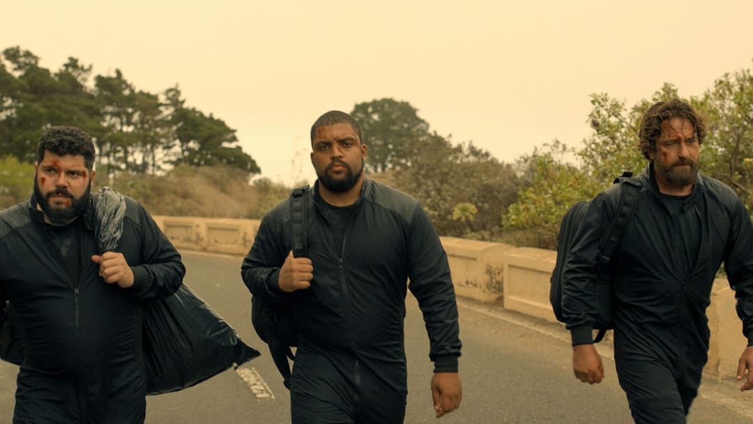 Злодії 2: Пантера backdrop 14