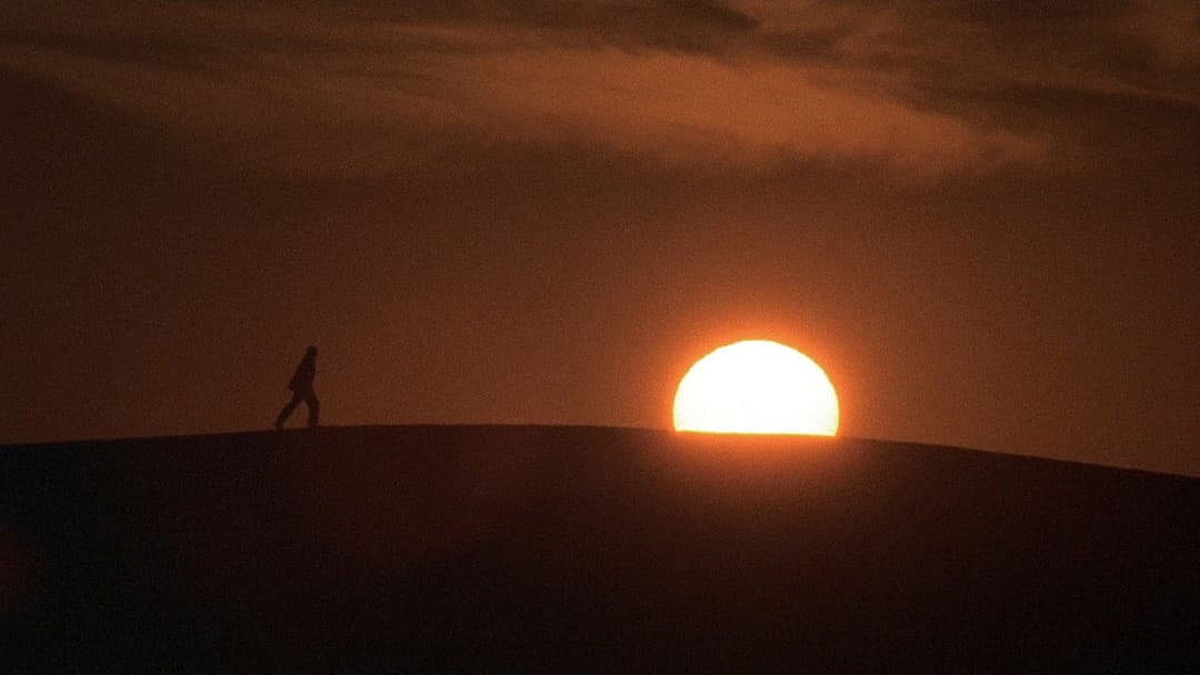 Англійський пацієнт backdrop 14