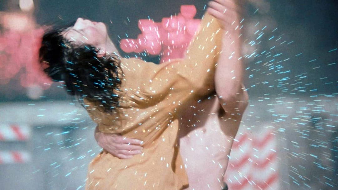 Die Liebenden von Pont-Neuf backdrop 10