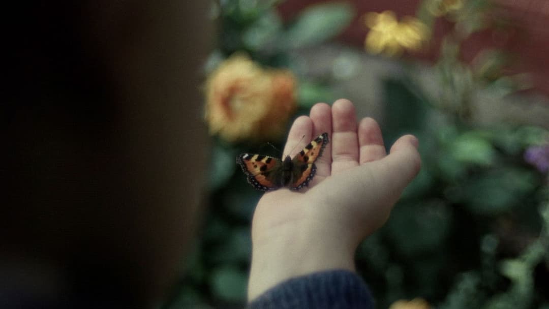 Sentimental Value backdrop 9