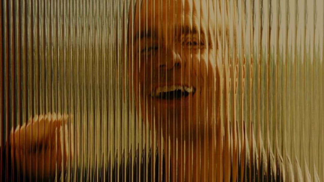 Сім психопатів backdrop 20