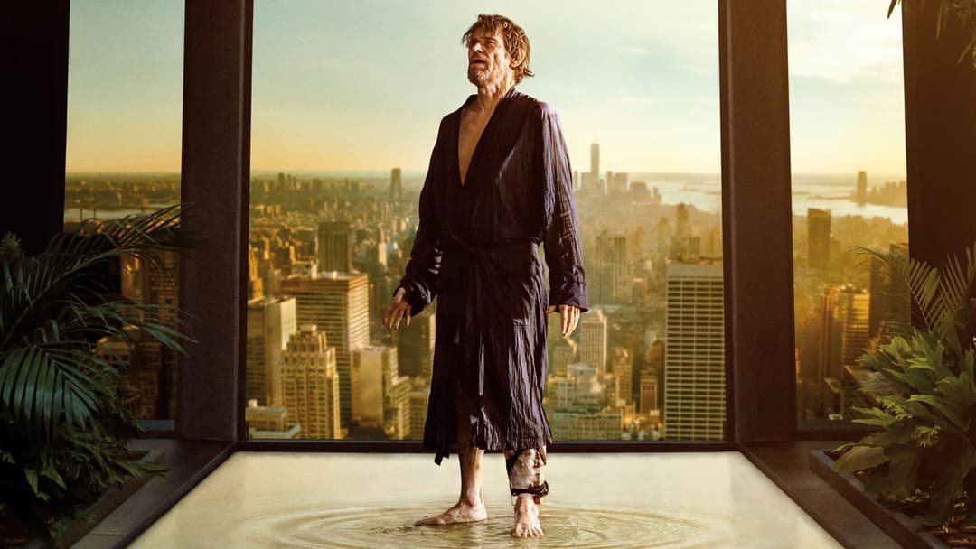 Всередині backdrop 10