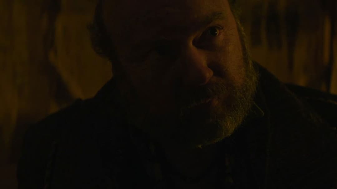 Свиня backdrop 16