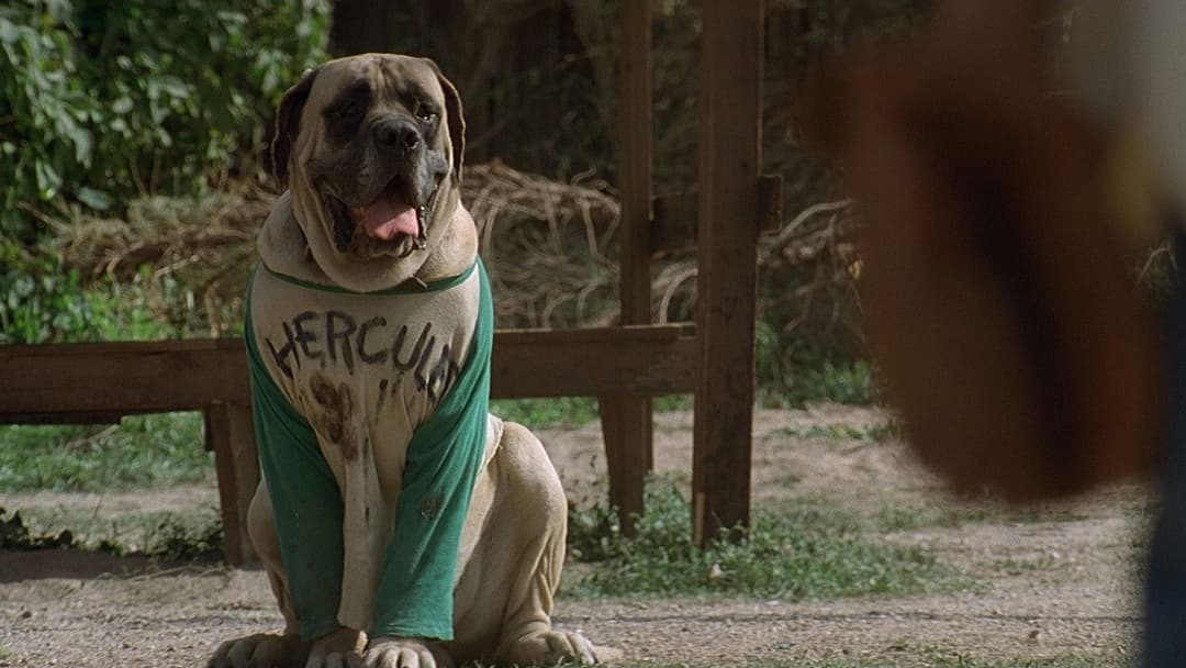 Herkules und die Sandlot Kids backdrop 5