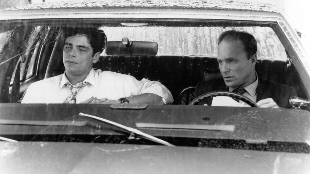 Порцеляновий місяць backdrop 10